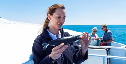 Whale-Photo